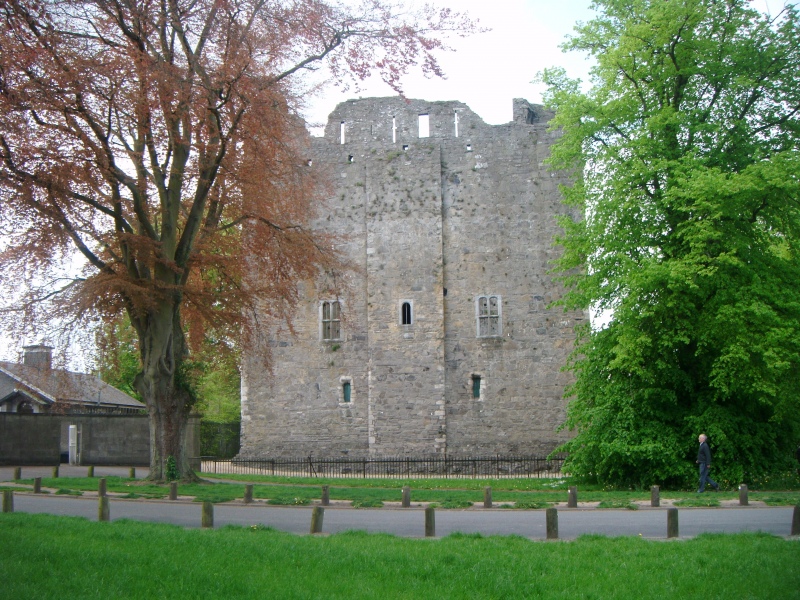 maynooth castle