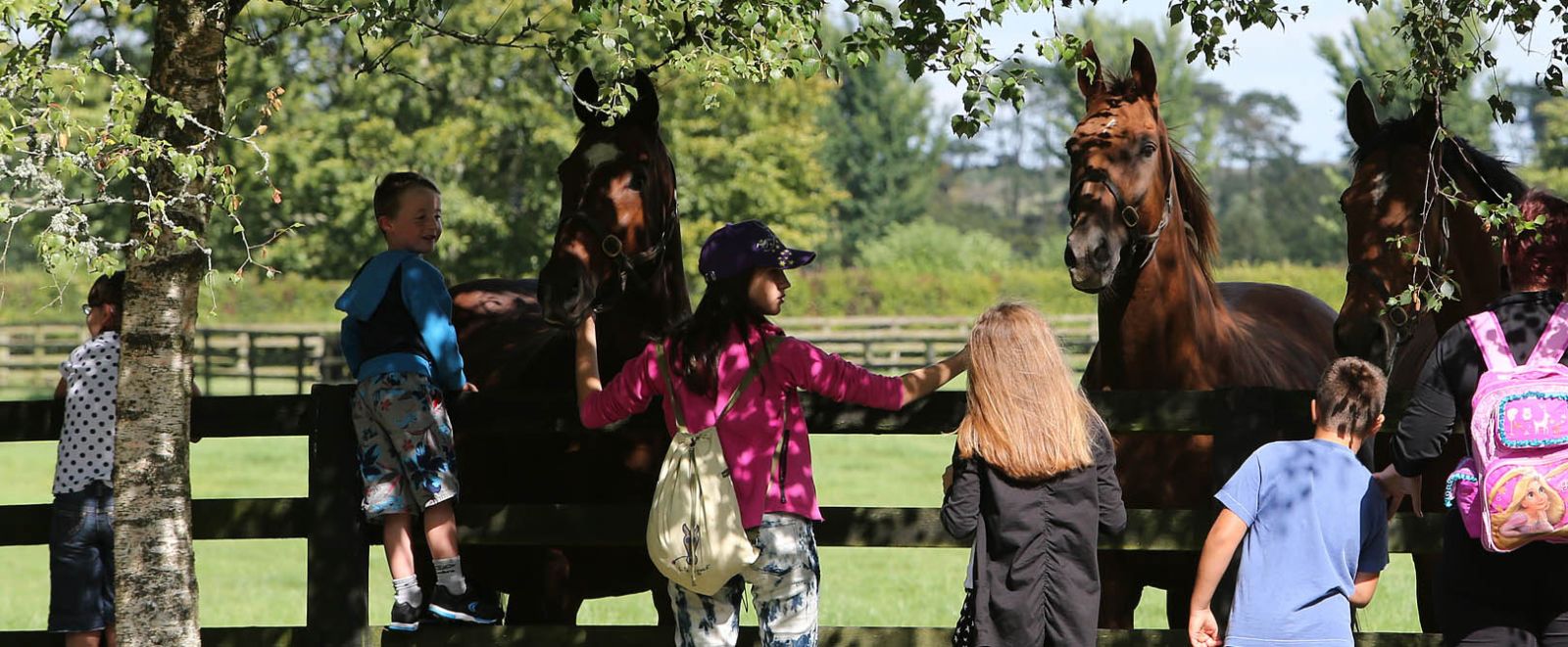 National Stud Farm