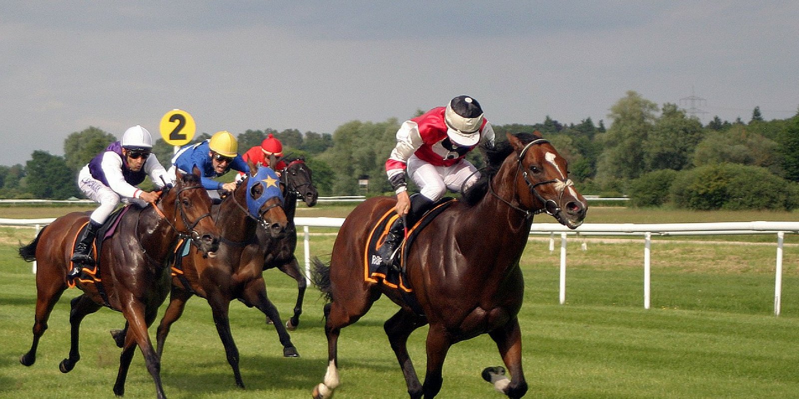 Horse Racing at Punchestown 